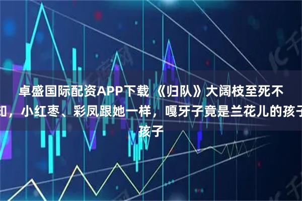 卓盛国际配资APP下载 《归队》大阔枝至死不知,小红枣、彩凤跟她一样,嘎牙子竟是兰花儿的孩子