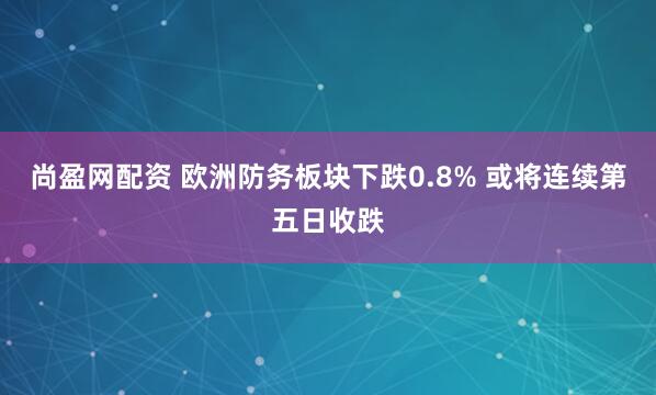 尚盈网配资 欧洲防务板块下跌0.8% 或将连续第五日收跌