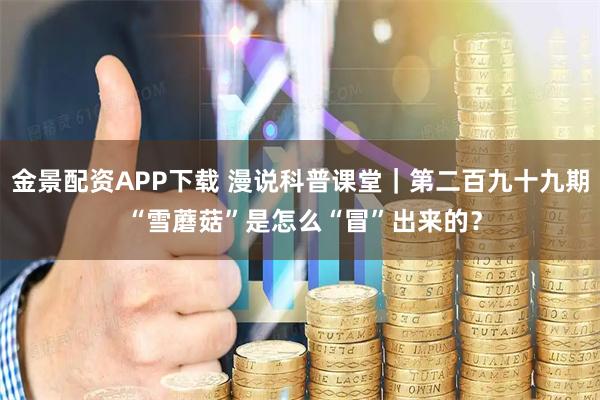 金景配资APP下载 漫说科普课堂｜第二百九十九期 “雪蘑菇”是怎么“冒”出来的？