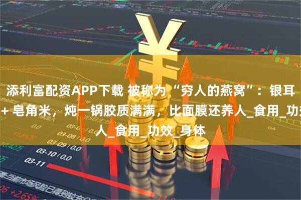 添利富配资APP下载 被称为 “穷人的燕窝”：银耳 + 桃胶 + 皂角米，炖一锅胶质满满，比面膜还养人_食用_功效_身体