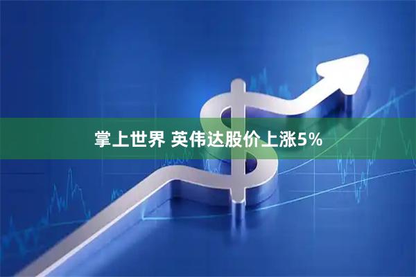 掌上世界 英伟达股价上涨5%